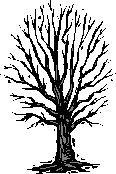 Stammbaum